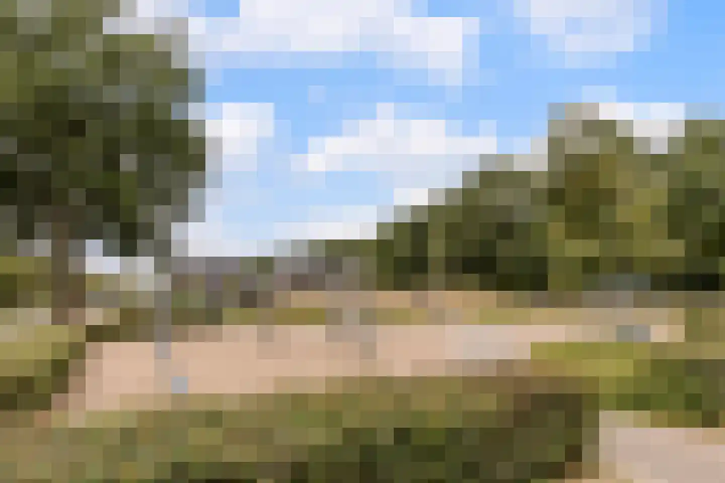 Parelmoervlinder 49 Oosterhout thumbnail 41
