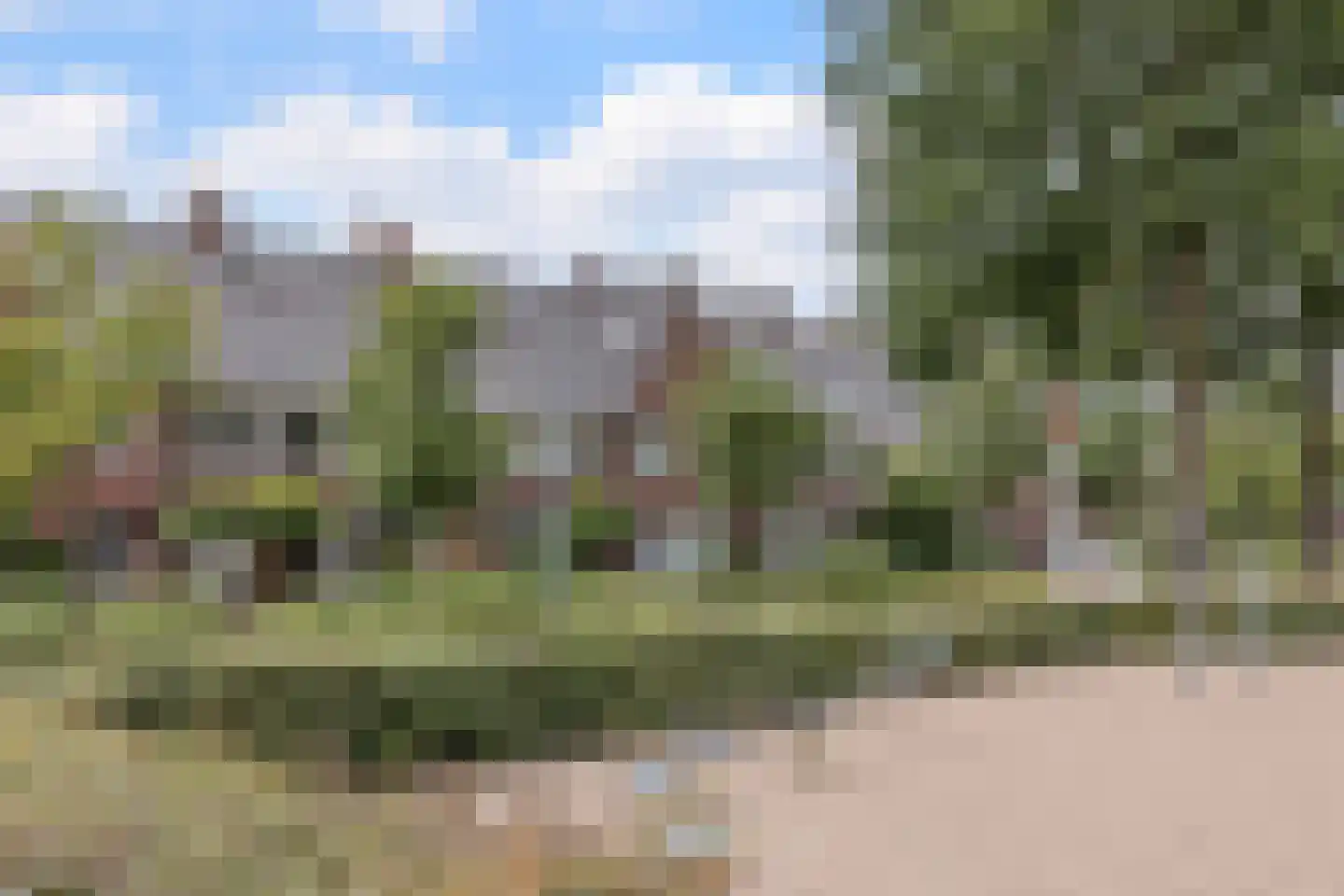 Parelmoervlinder 49 Oosterhout thumbnail 42
