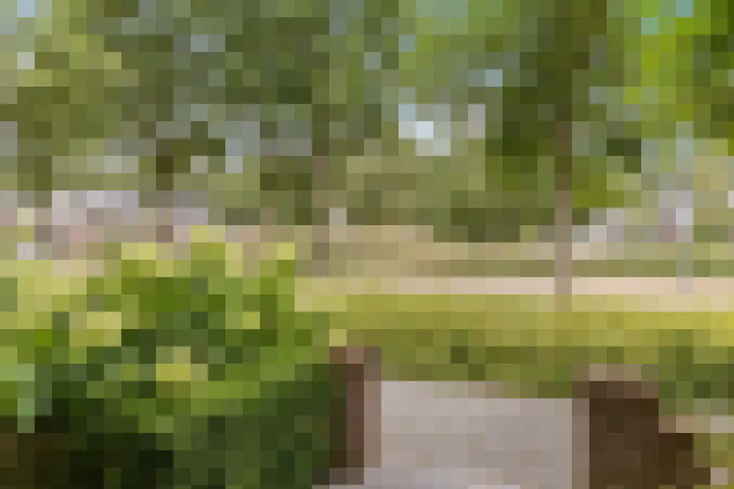 Parelmoervlinder 49 Oosterhout thumbnail 43