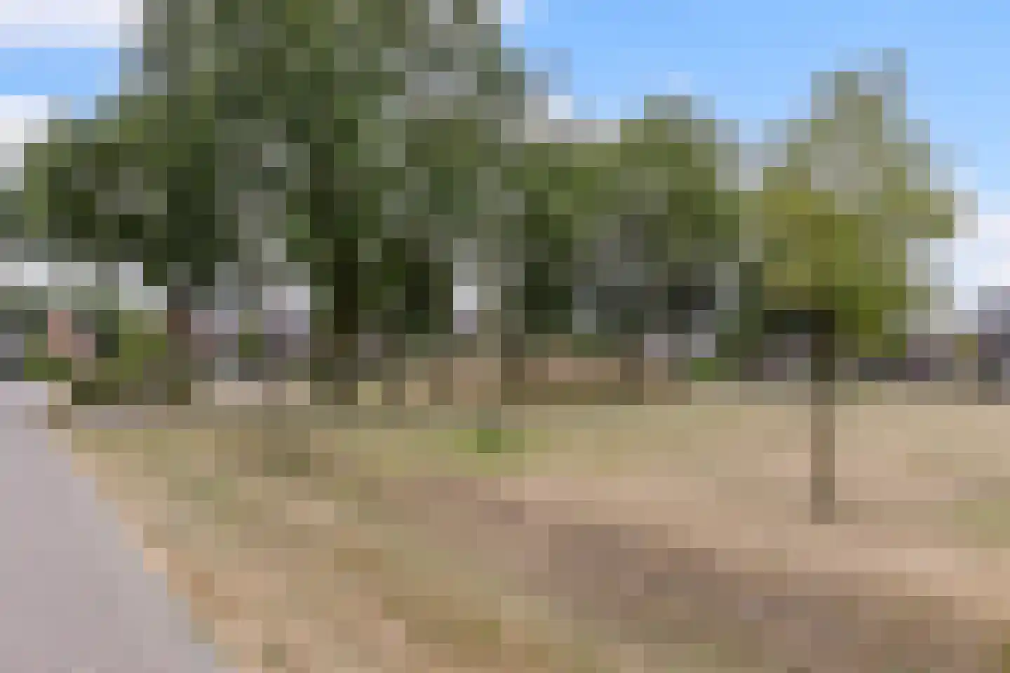 Parelmoervlinder 49 Oosterhout thumbnail 44