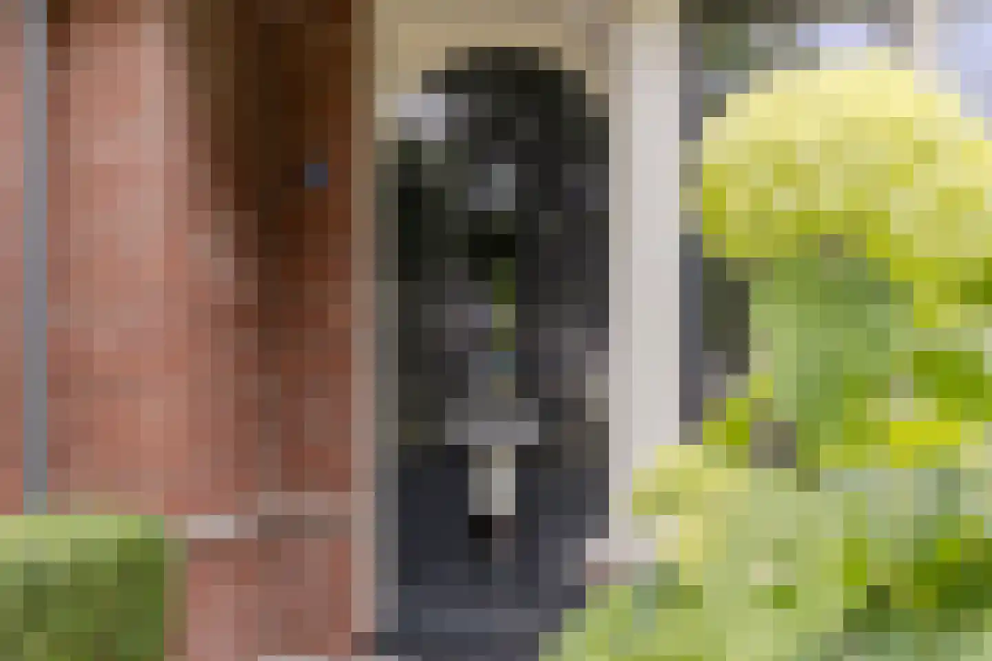 Parelmoervlinder 49 Oosterhout thumbnail 8