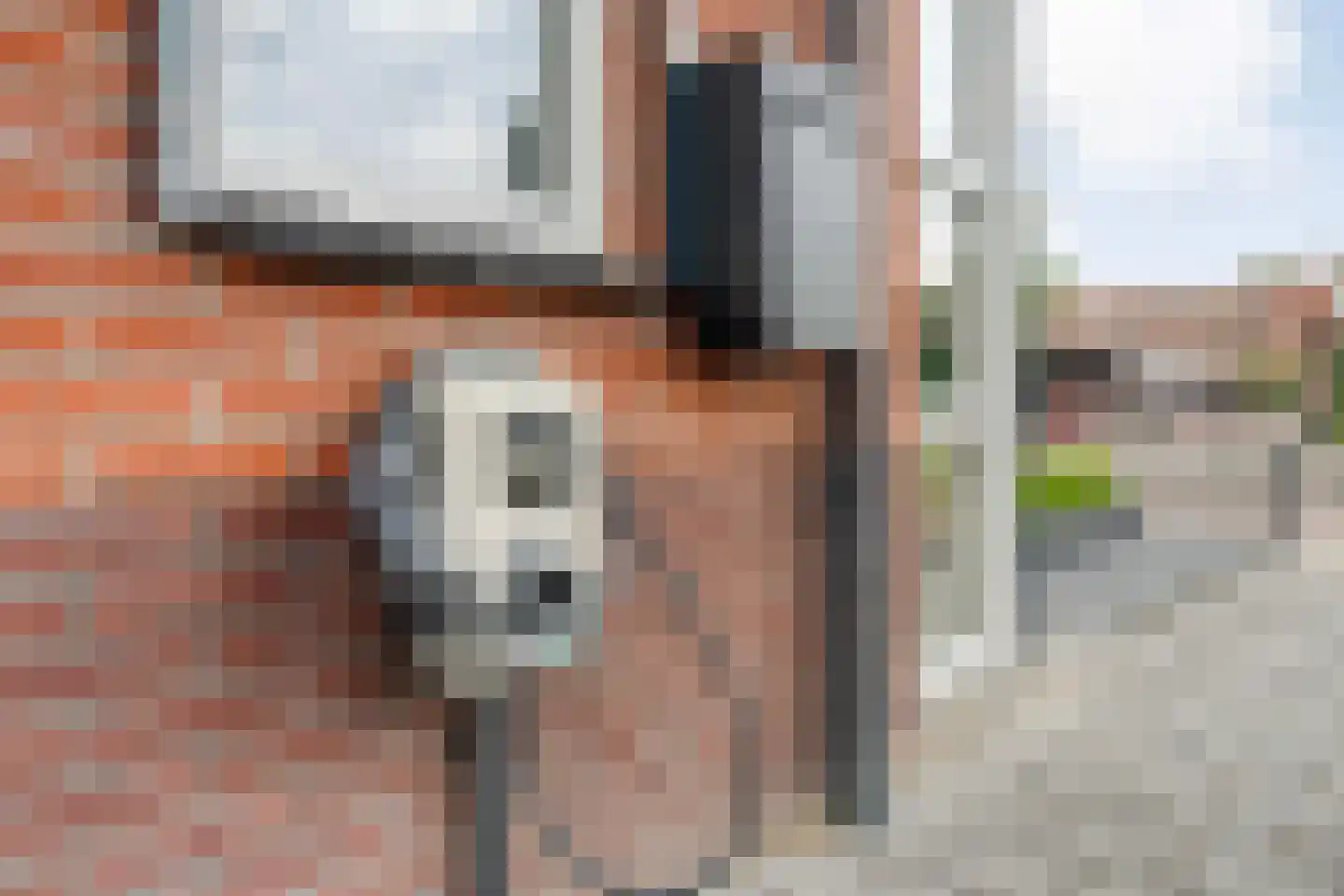 Parelmoervlinder 5 Hoogeveen thumbnail 12