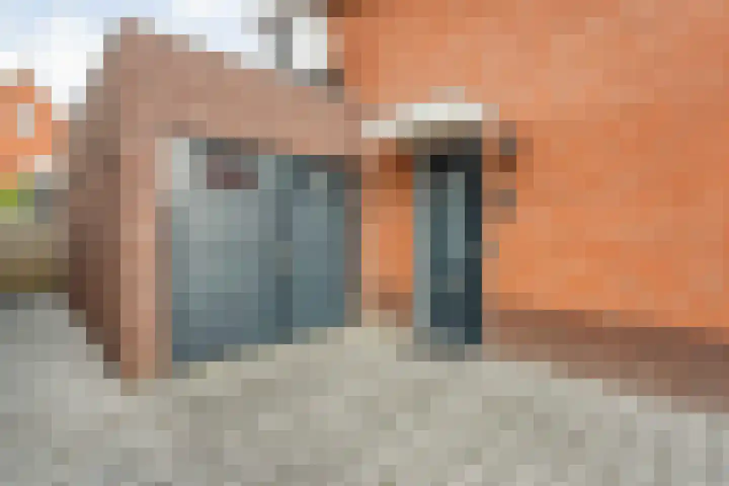 Parelmoervlinder 5 Hoogeveen thumbnail 13