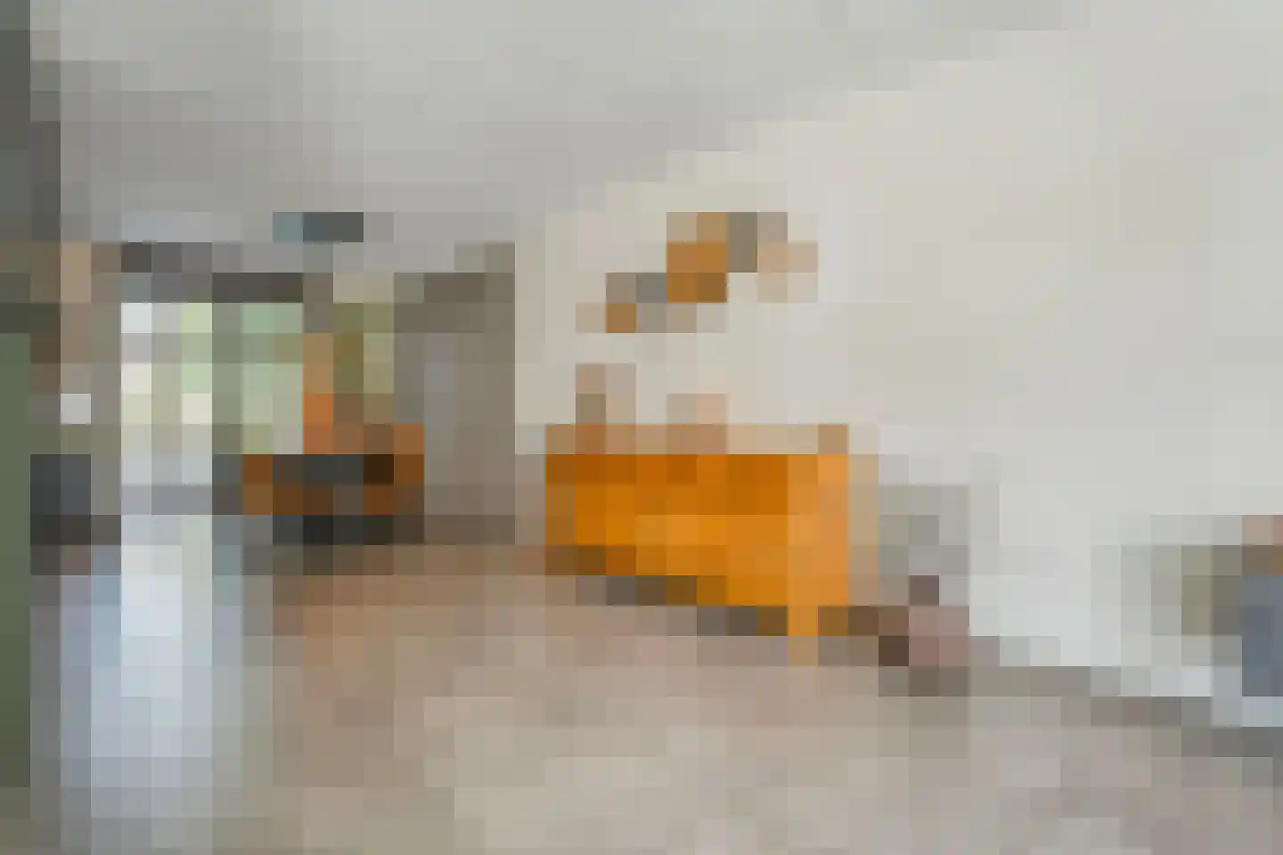 Parelmoervlinder 5 Hoogeveen thumbnail 22