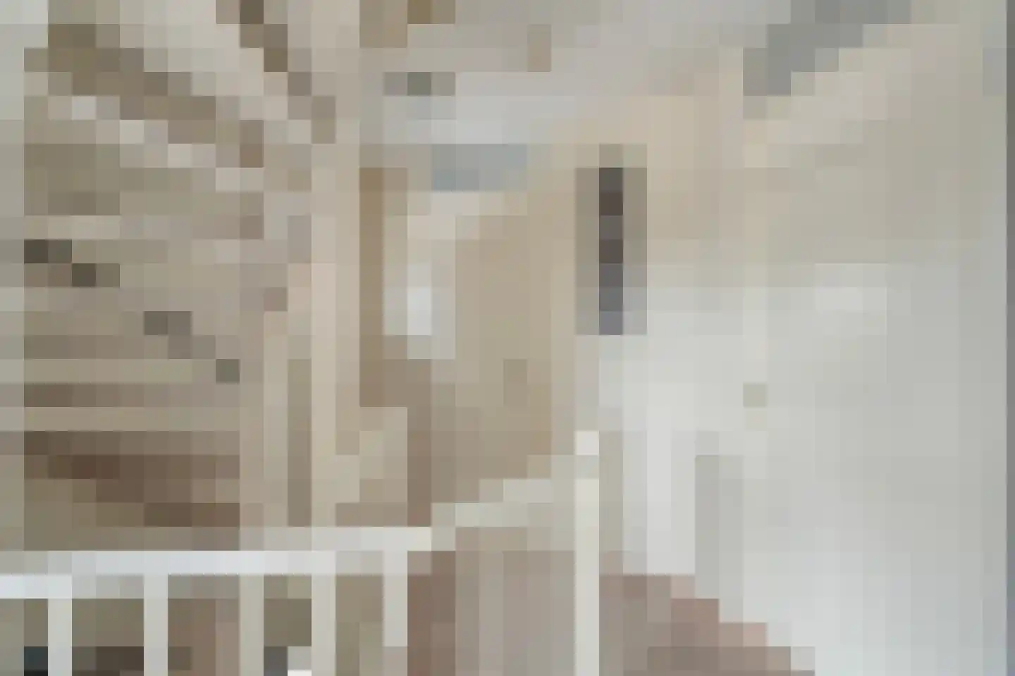 Parelmoervlinder 5 Hoogeveen thumbnail 33