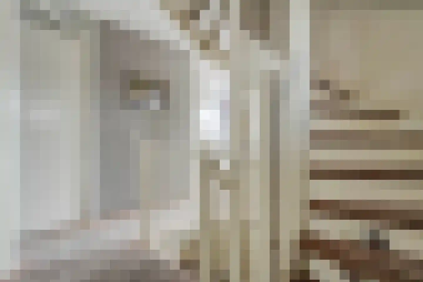 Parelmoervlinder 5 Hoogeveen thumbnail 34
