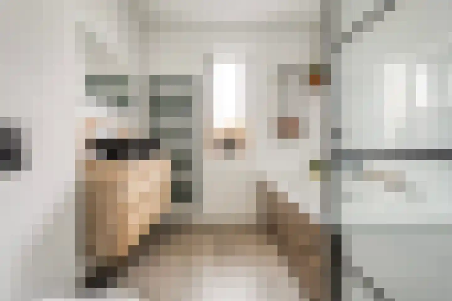 Parelmoervlinder 5 Hoogeveen thumbnail 39
