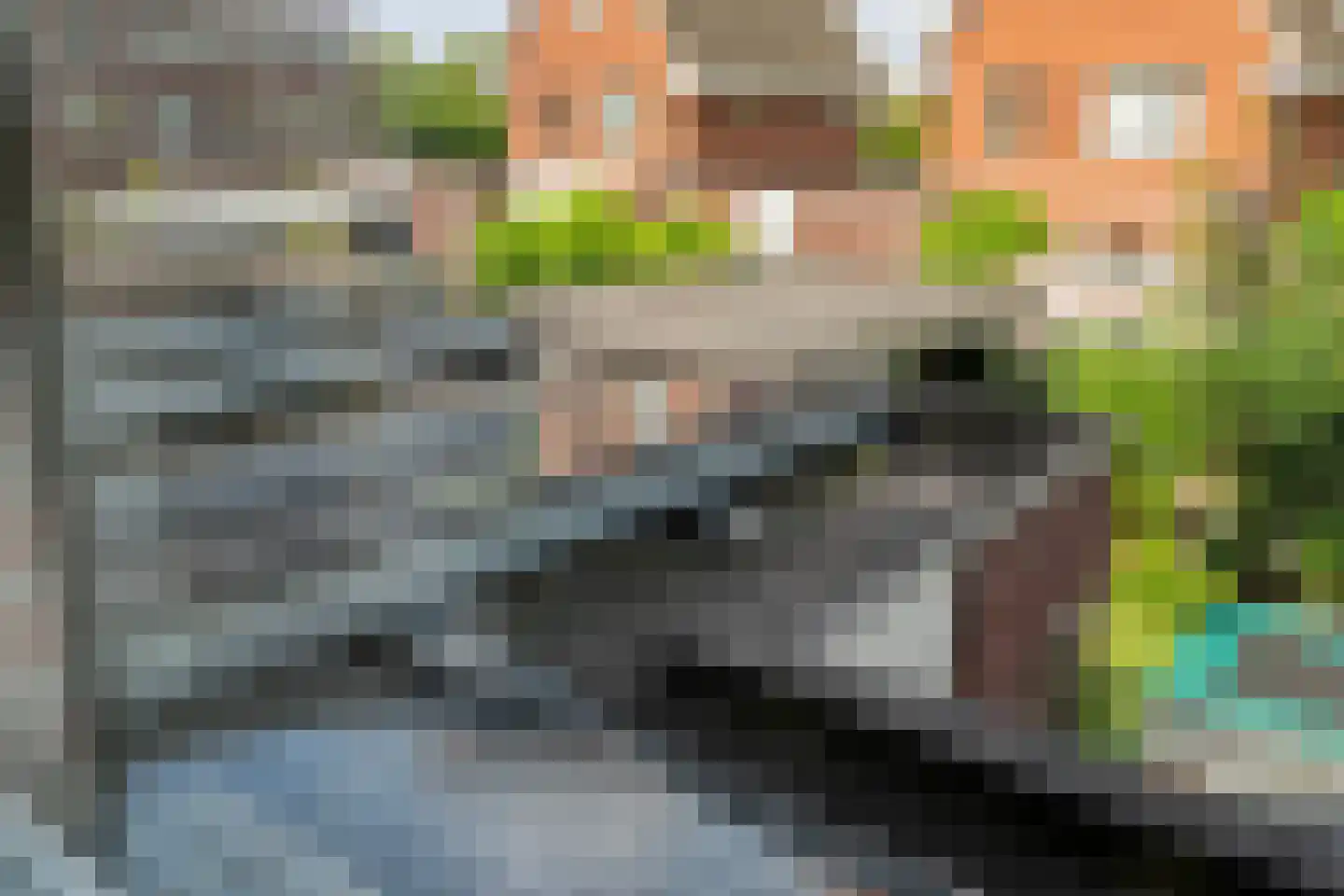 Parelmoervlinder 5 Hoogeveen thumbnail 44