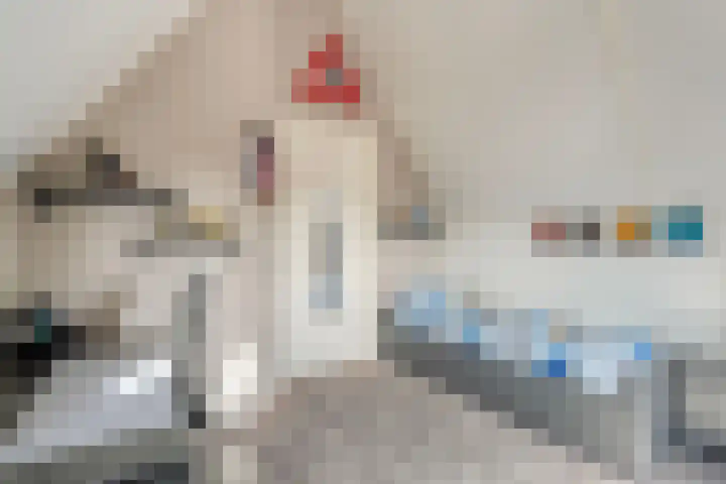 Parelmoervlinder 5 Hoogeveen thumbnail 48