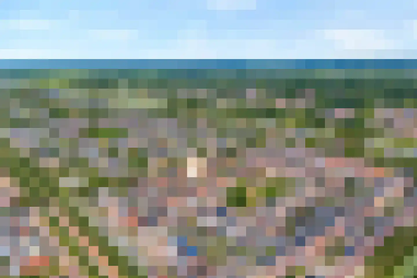 Parelmoervlinder 5 Hoogeveen thumbnail 5
