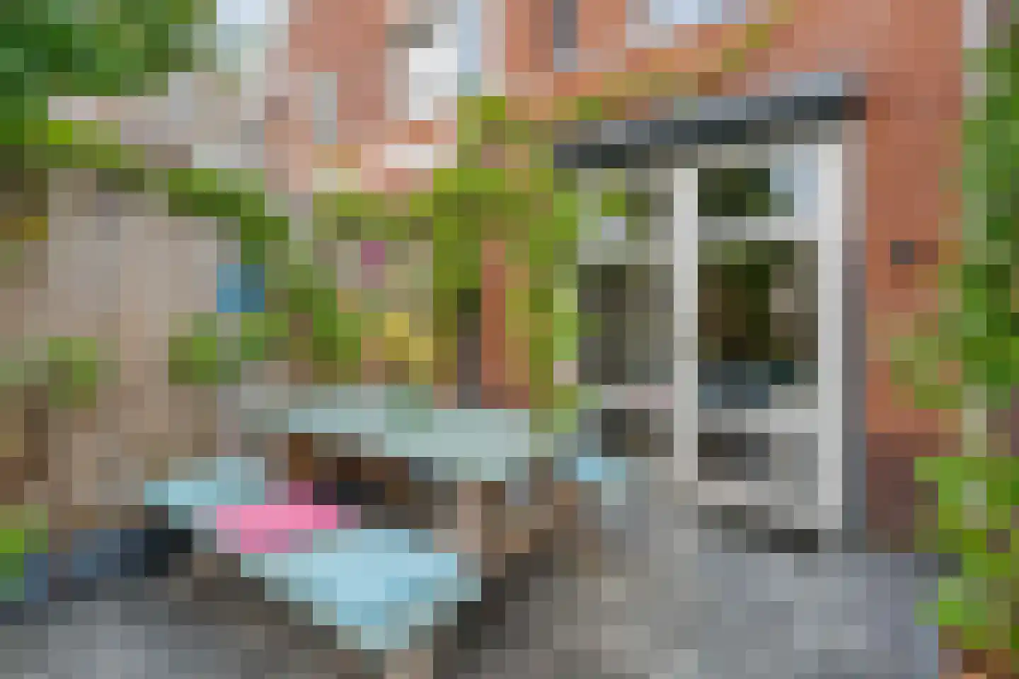 Parelmoervlinder 5 Hoogeveen thumbnail 52