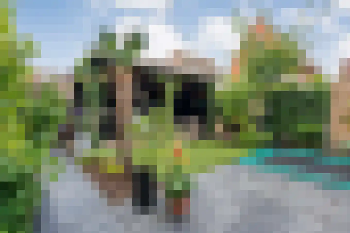Parelmoervlinder 5 Hoogeveen thumbnail 53