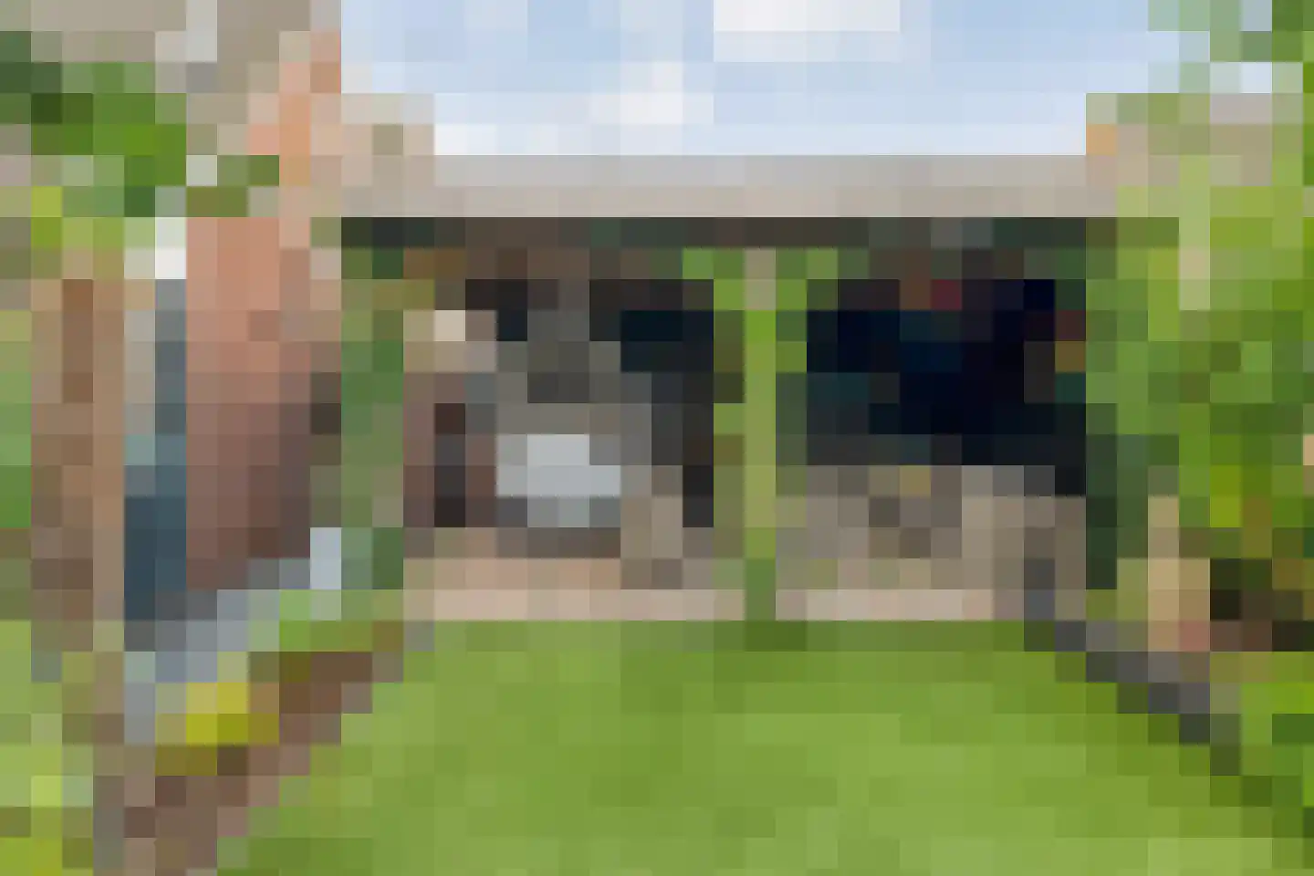 Parelmoervlinder 5 Hoogeveen thumbnail 55