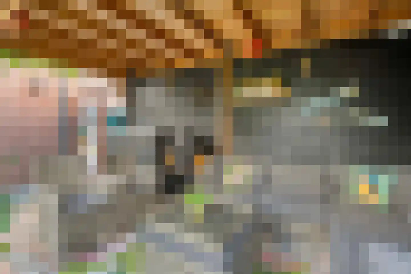 Parelmoervlinder 5 Hoogeveen thumbnail 56