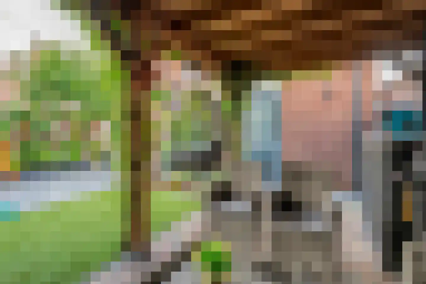 Parelmoervlinder 5 Hoogeveen thumbnail 57