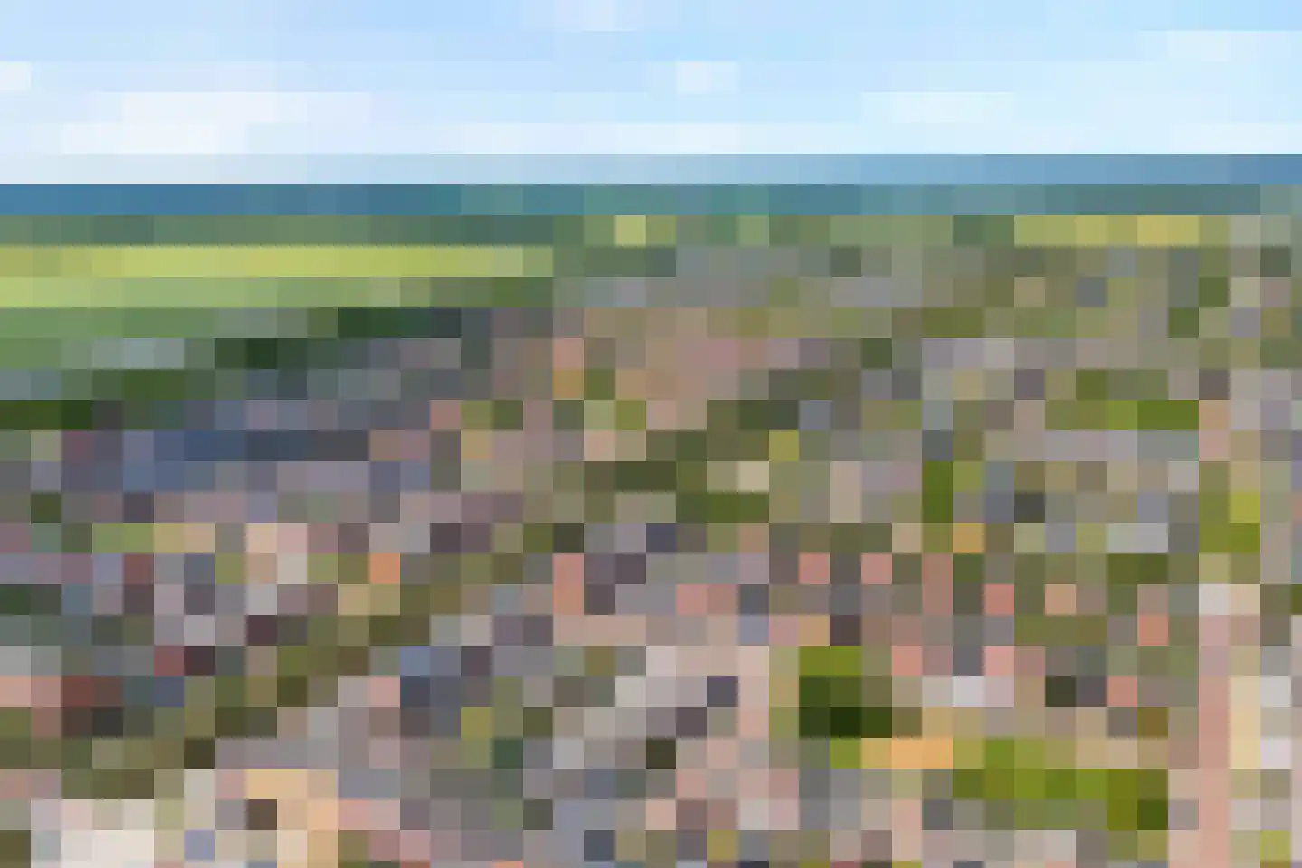Parelmoervlinder 5 Hoogeveen thumbnail 6