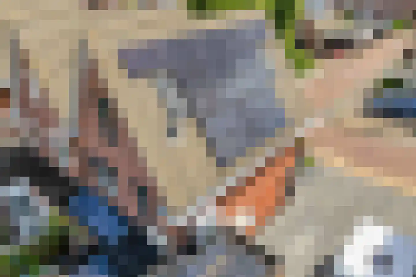 Parelmoervlinder 5 Hoogeveen thumbnail 68