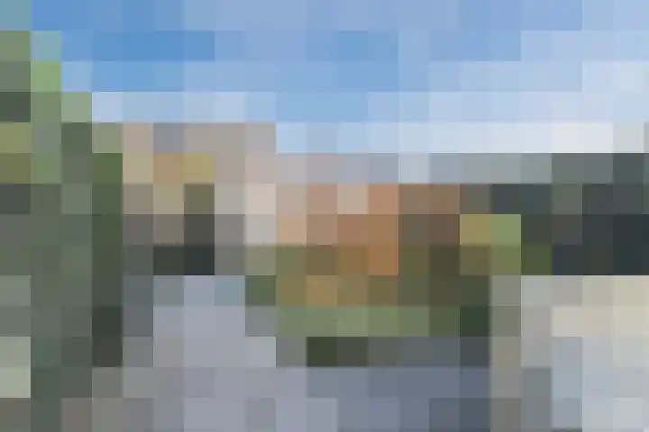 Parelmoervlinder 67 Oosterhout thumbnail 36