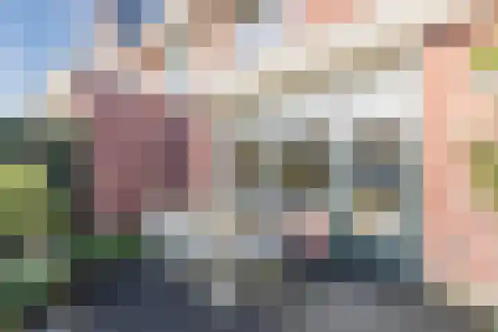 Parelmoervlinder 67 Oosterhout thumbnail 37