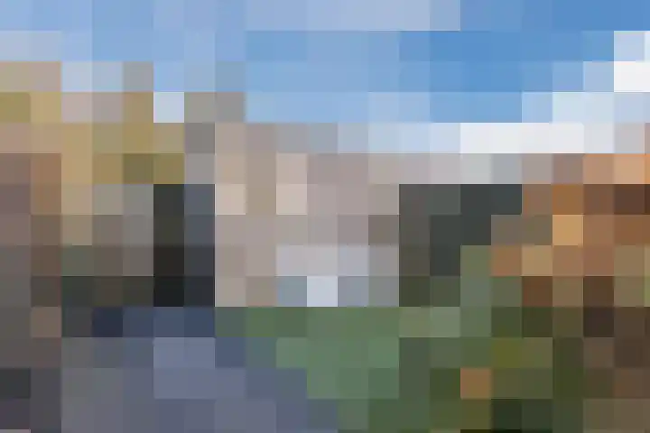Parelmoervlinder 67 Oosterhout thumbnail 38