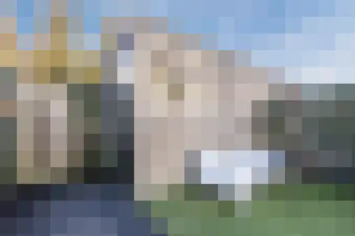 Parelmoervlinder 67 Oosterhout thumbnail 39