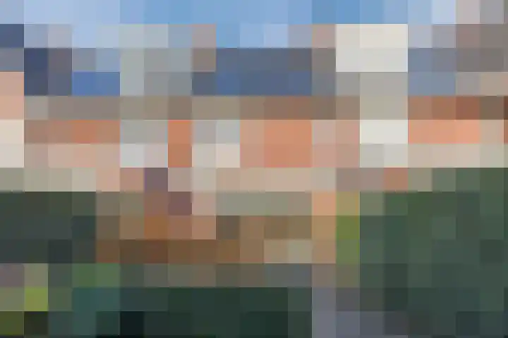 Parelmoervlinder 67 Oosterhout thumbnail 41