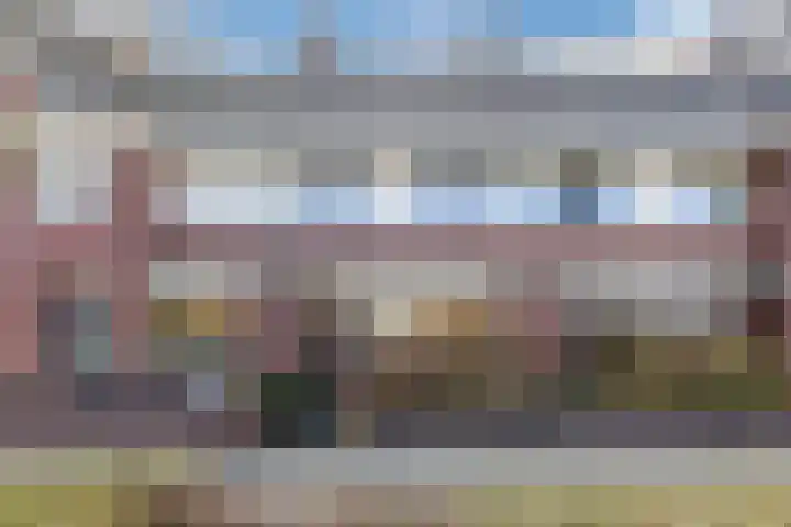 Parelmoervlinder 67 Oosterhout thumbnail 42