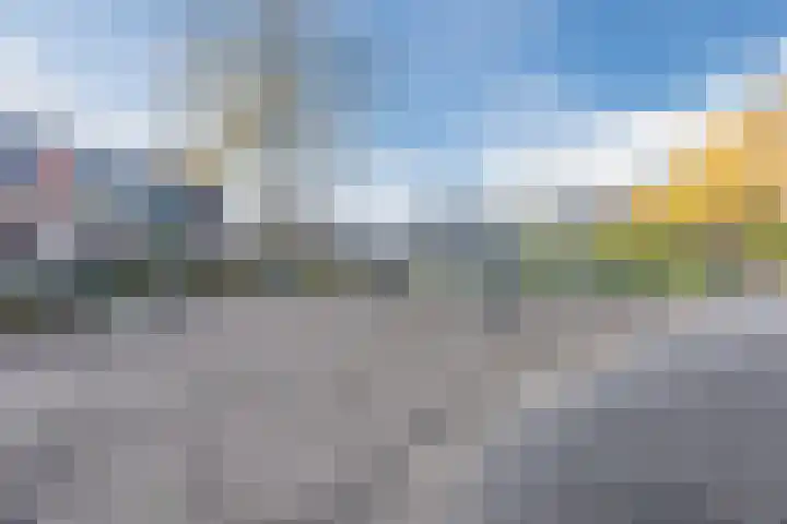 Parelmoervlinder 67 Oosterhout thumbnail 46