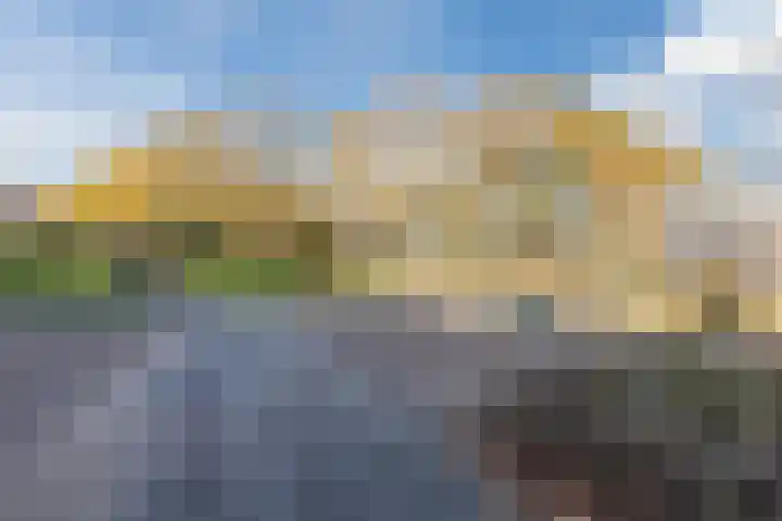 Parelmoervlinder 67 Oosterhout thumbnail 47
