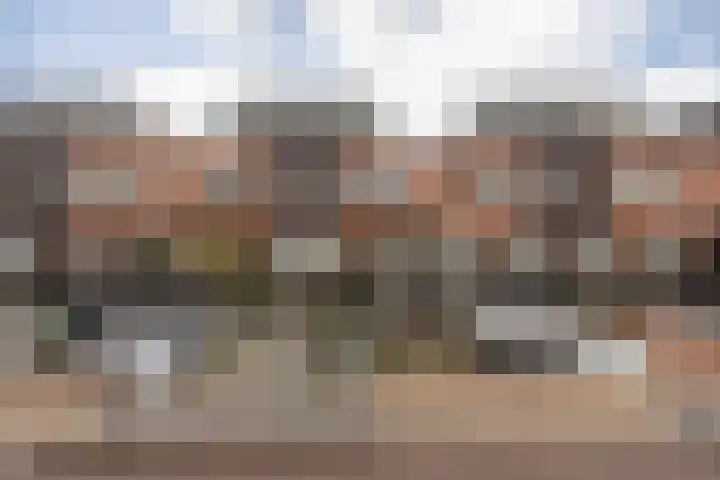 Parelmoervlinder 7 Sneek