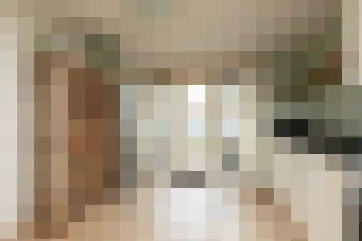 Parelmoervlinder 7 Sneek thumbnail 13