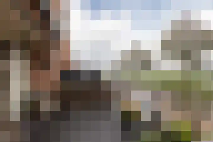 Parelmoervlinder 7 Sneek thumbnail 14