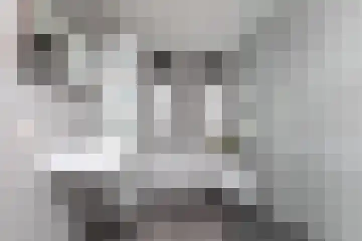 Parelmoervlinder 7 Sneek thumbnail 20