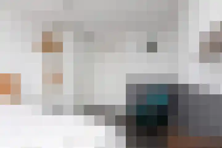 Parelmoervlinder 7 Sneek thumbnail 29