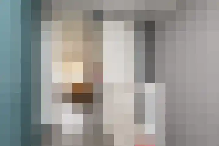 Parelmoervlinder 7 Sneek thumbnail 30