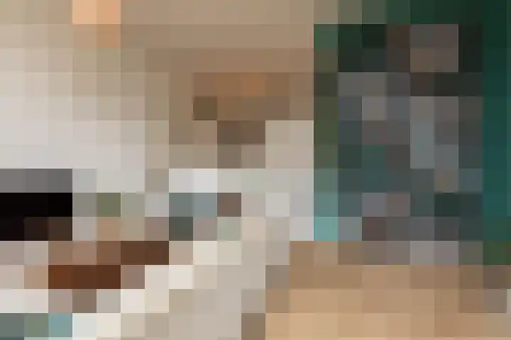 Parelmoervlinder 7 Sneek thumbnail 5