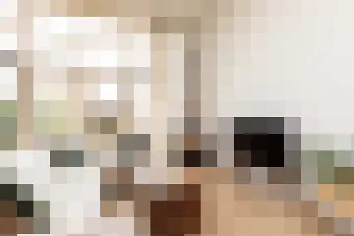Parelmoervlinder 7 Sneek thumbnail 7
