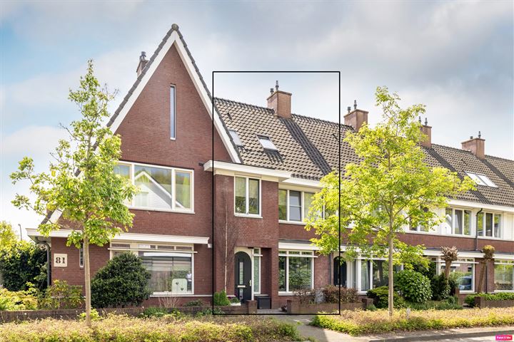 Parelmoervlinder 83 in Oosterhout foto