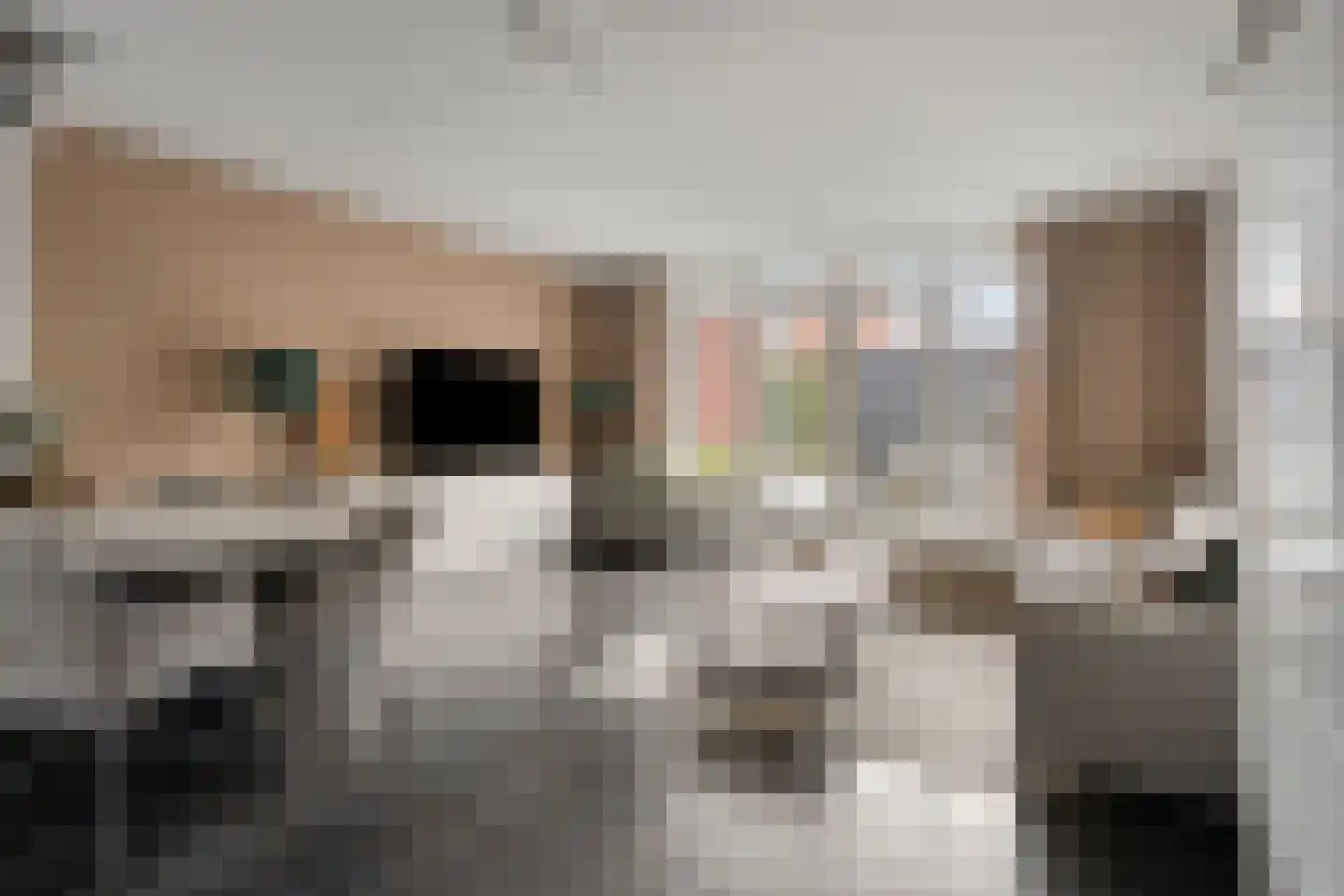 Parelmoervlinder 83 Oosterhout thumbnail 15