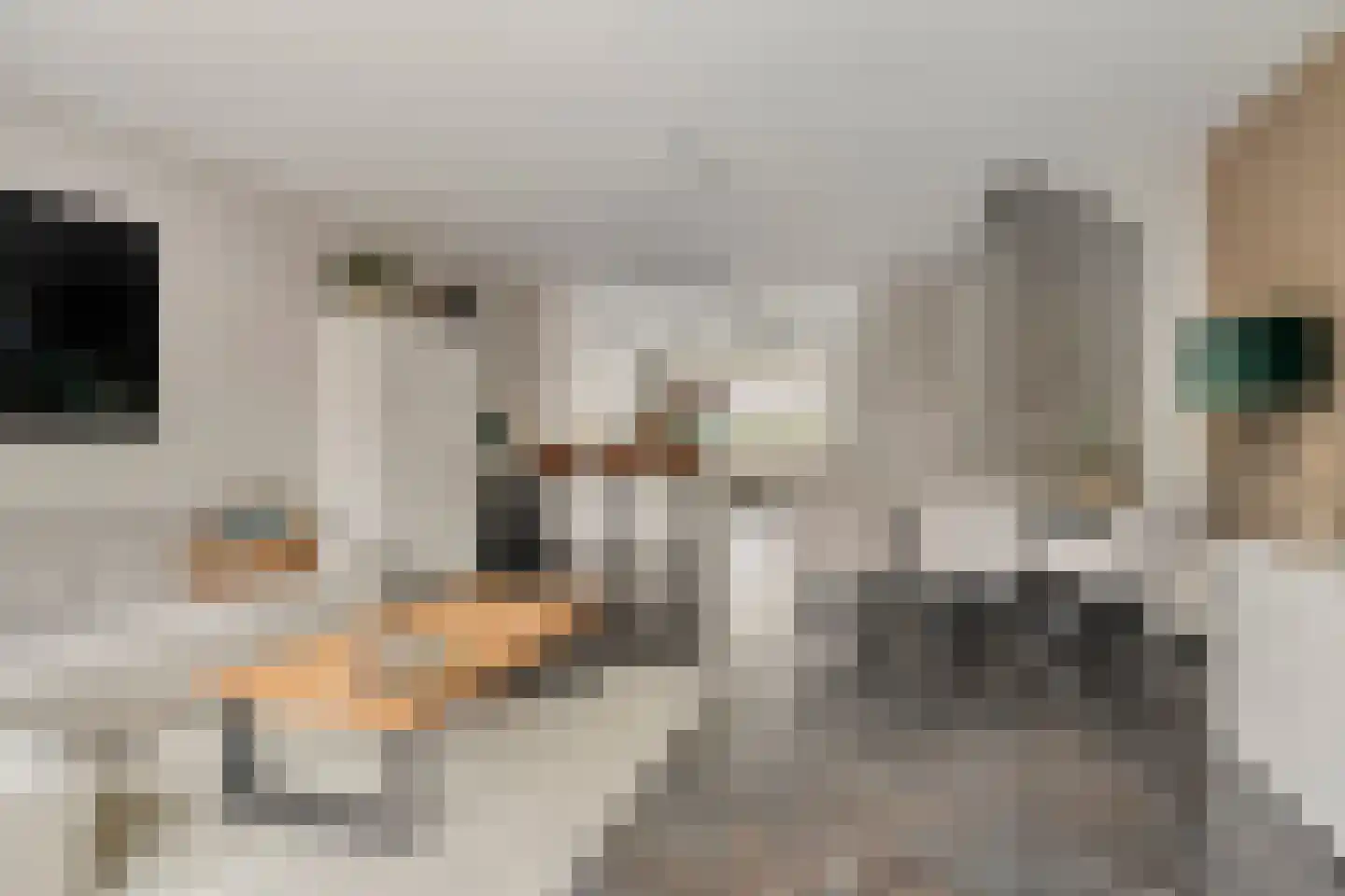 Parelmoervlinder 83 Oosterhout thumbnail 17