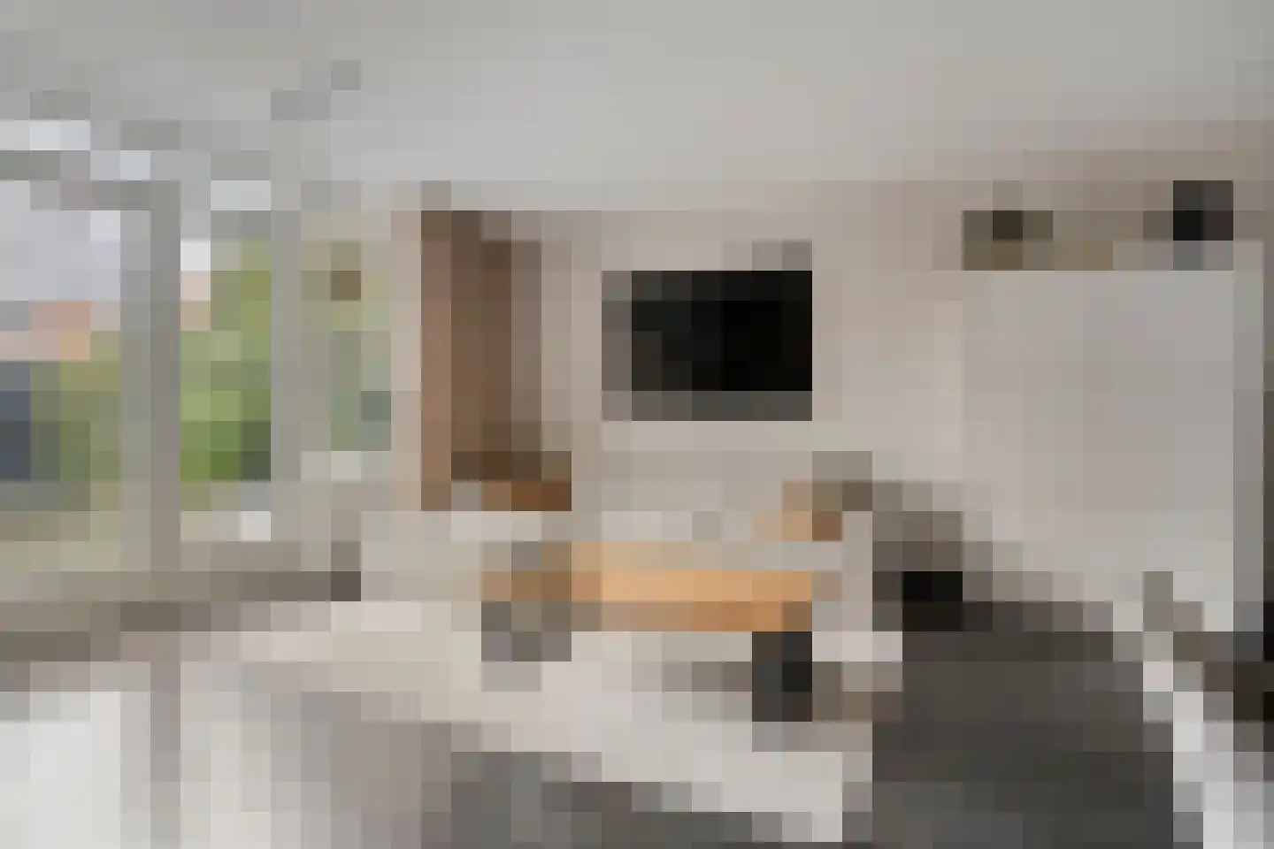 Parelmoervlinder 83 Oosterhout thumbnail 18
