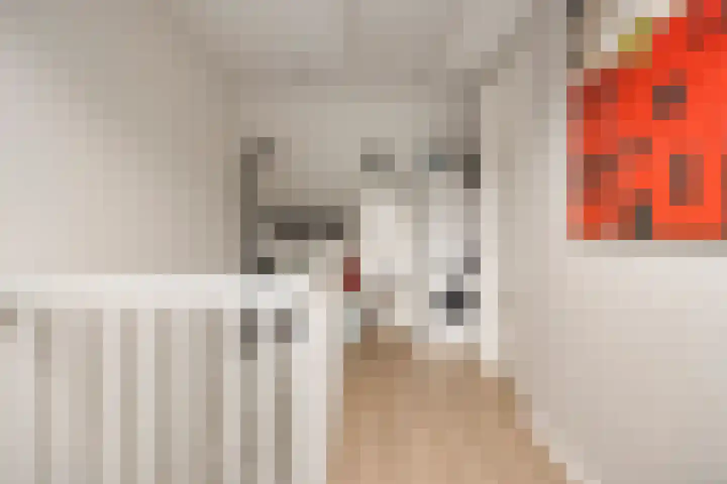 Parelmoervlinder 83 Oosterhout thumbnail 35