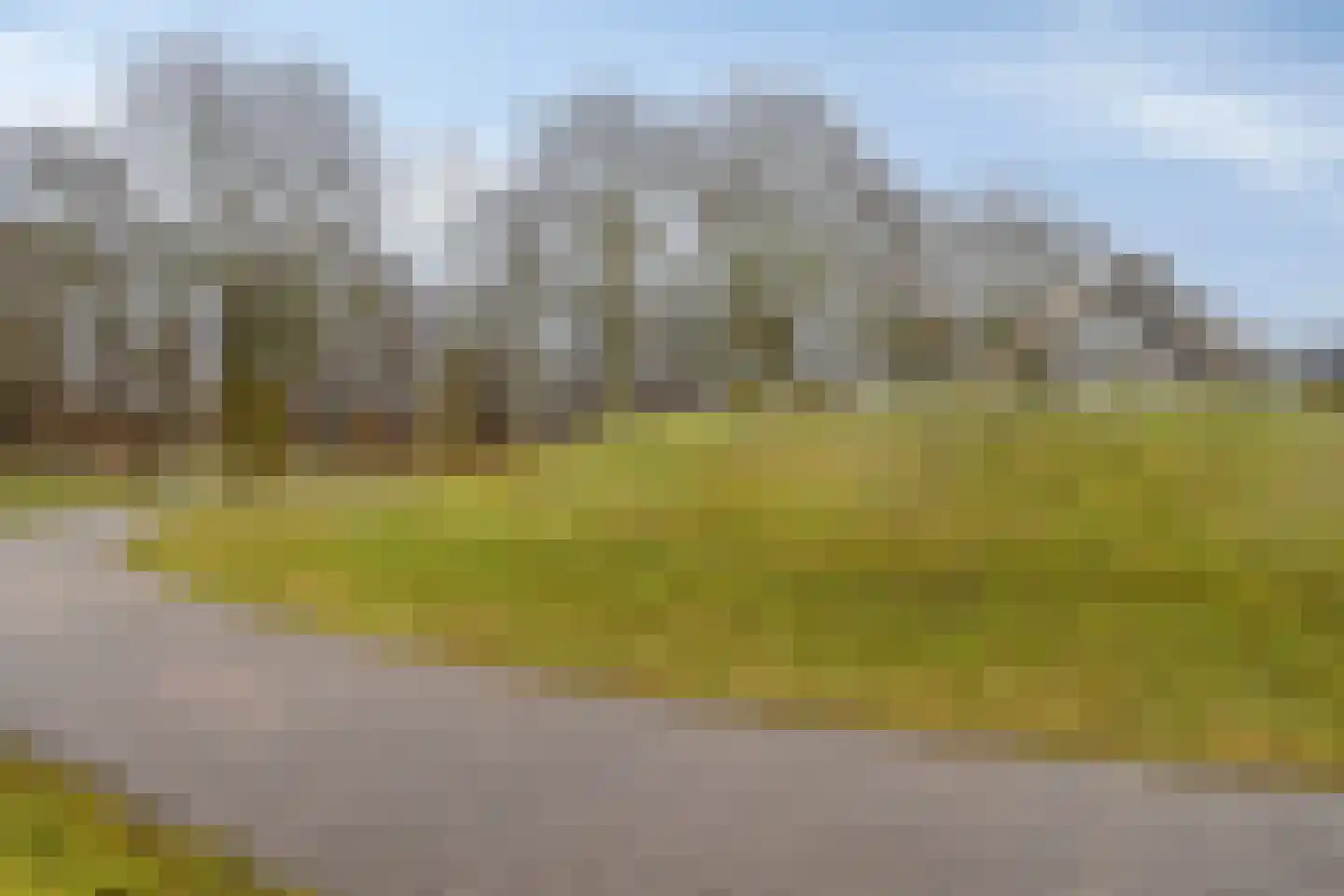 Parelmoervlinder 83 Oosterhout thumbnail 39