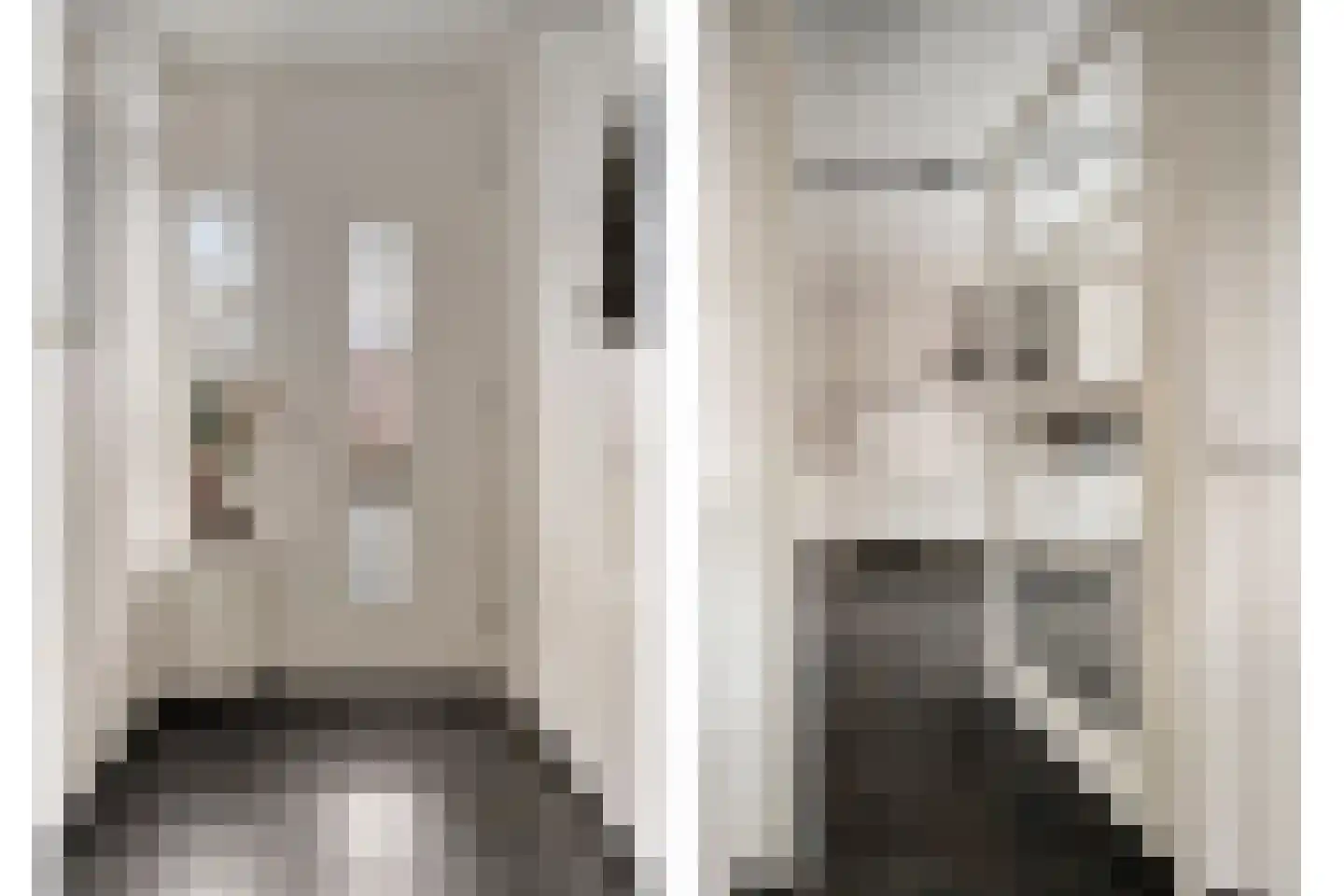 Parelmoervlinder 83 Oosterhout thumbnail 4
