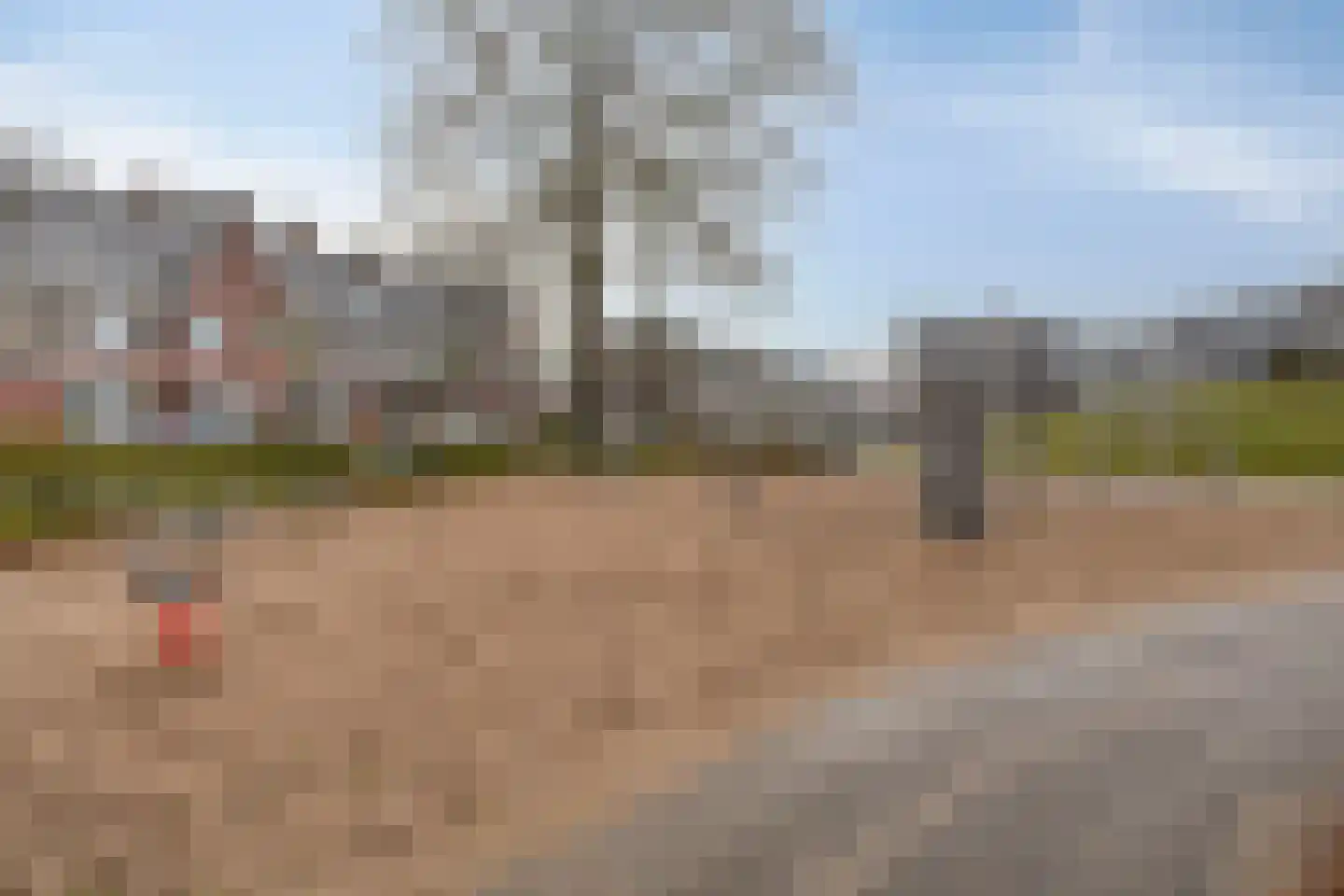 Parelmoervlinder 83 Oosterhout thumbnail 40
