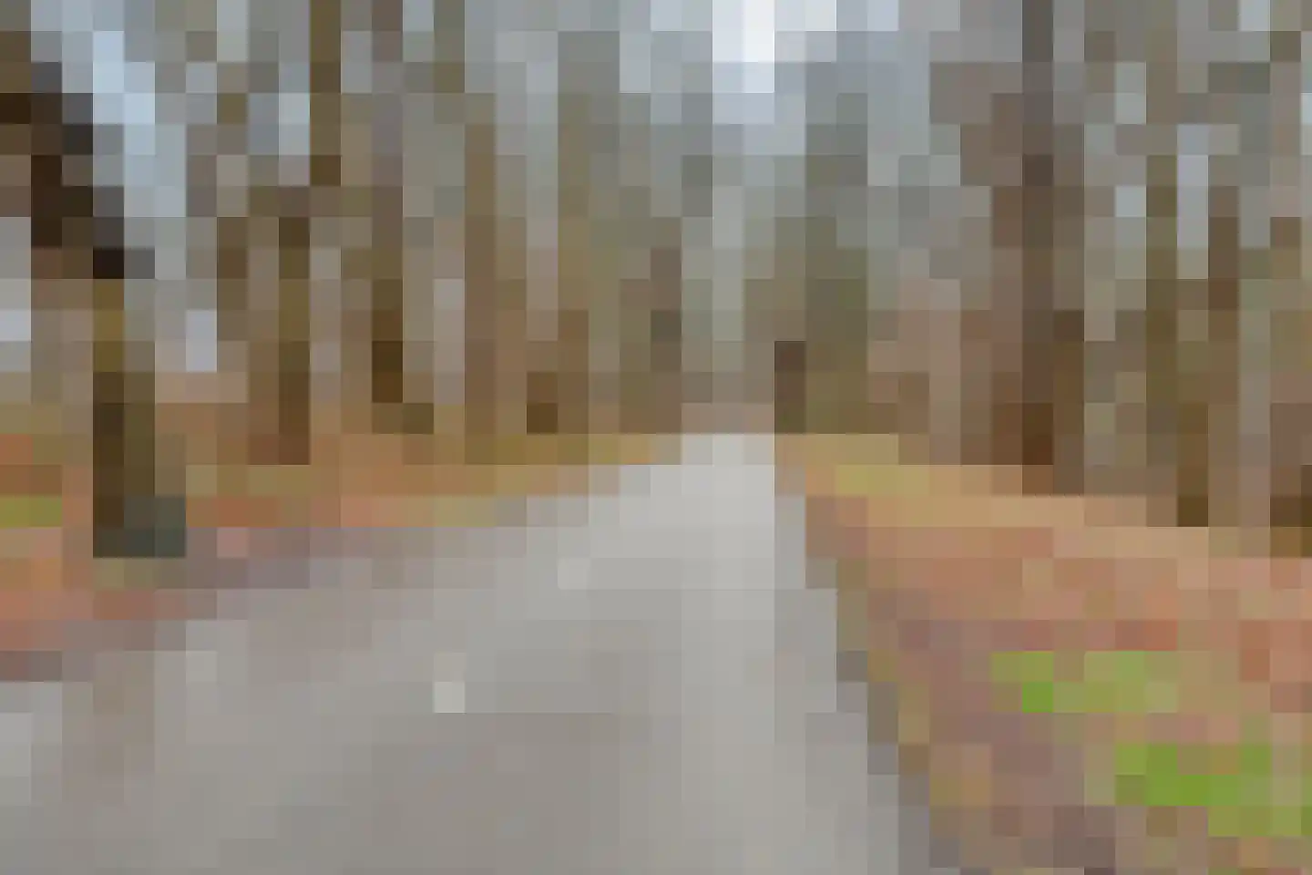 Parelmoervlinder 83 Oosterhout thumbnail 41