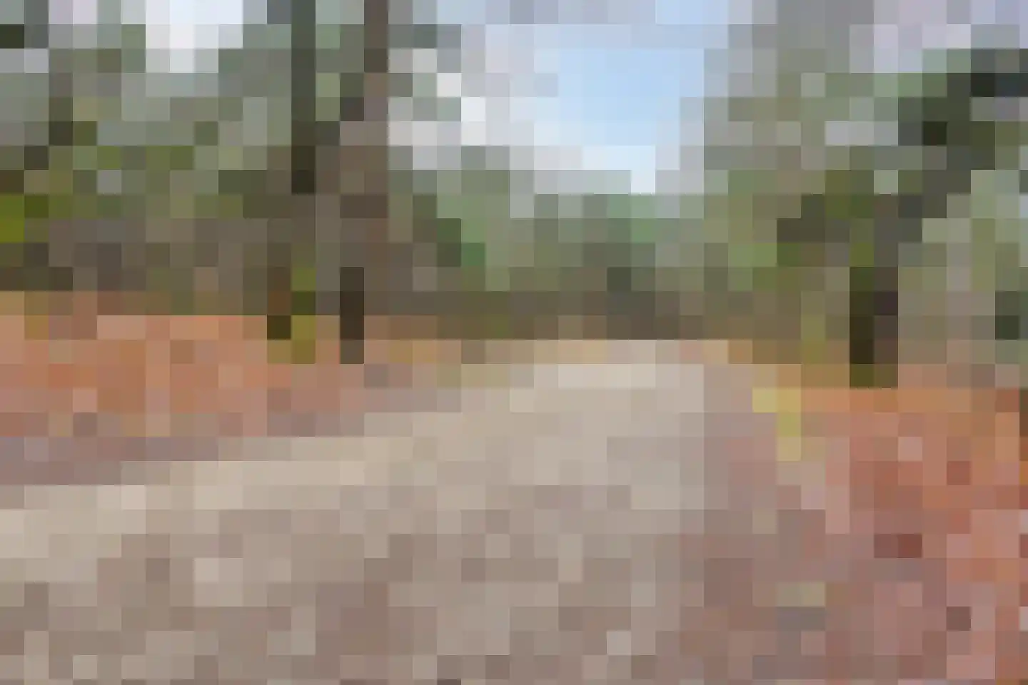 Parelmoervlinder 83 Oosterhout thumbnail 42