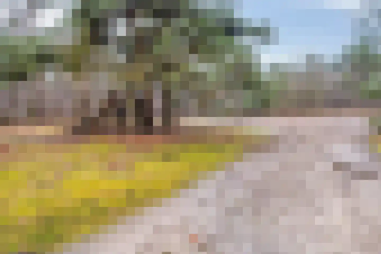 Parelmoervlinder 83 Oosterhout thumbnail 43
