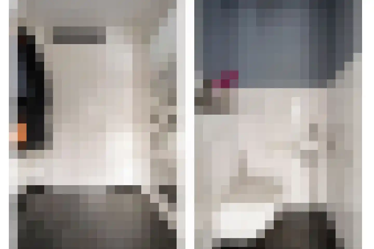 Parelmoervlinder 83 Oosterhout thumbnail 5