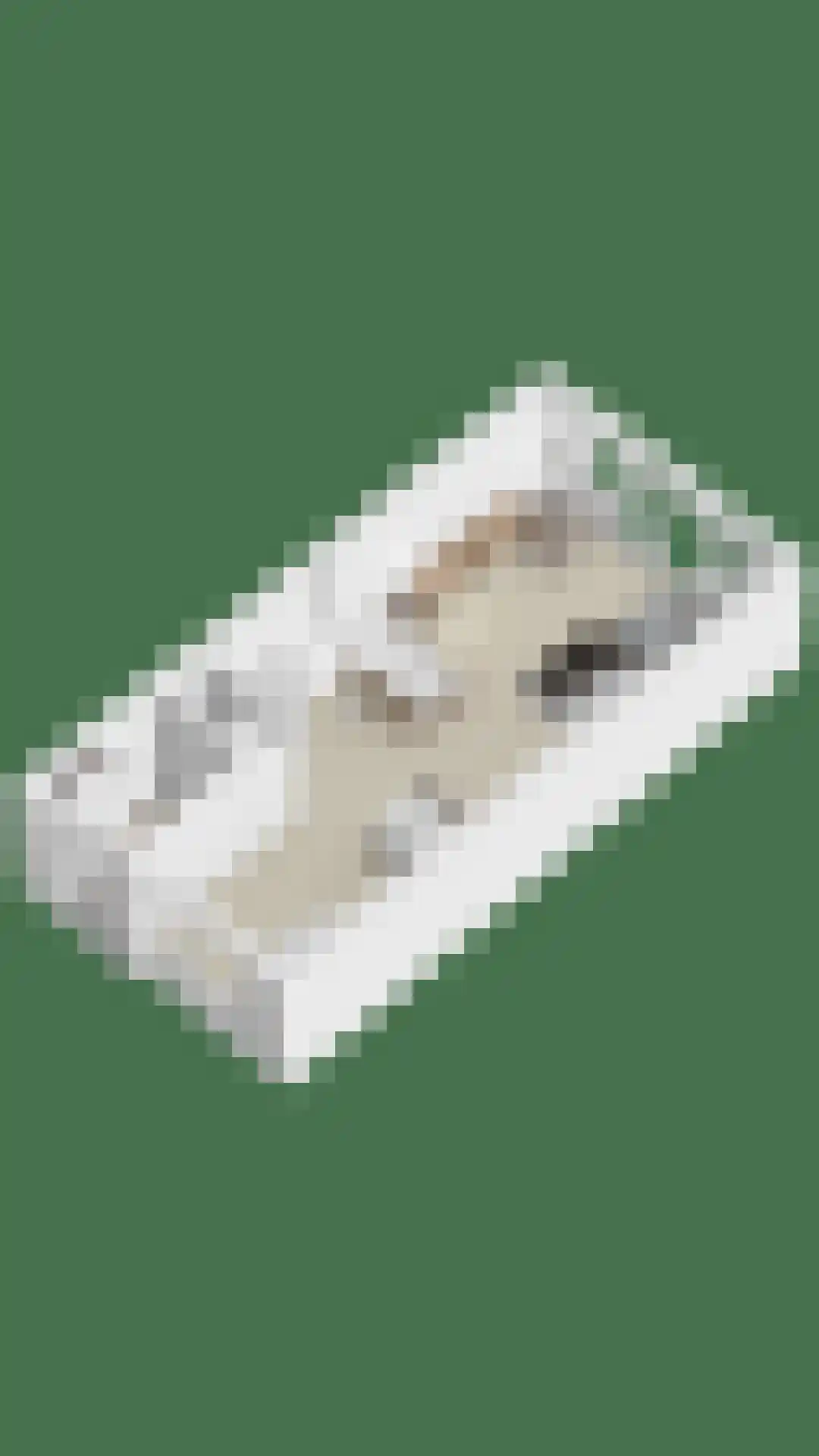 Parelmoervlinder 83 Oosterhout thumbnail 50